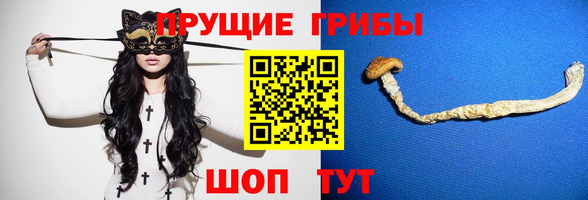 Новороссийск  Псилоцибиновые грибы прущие грибы  Вход с VPN 